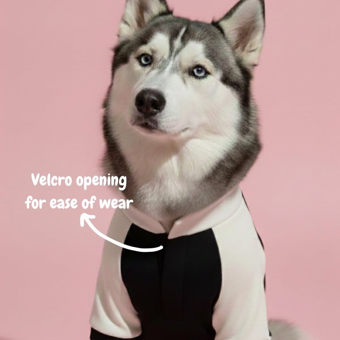 Tuxedo Formal Shirt