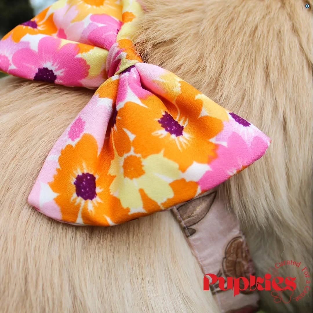 Pupkies on Instagram