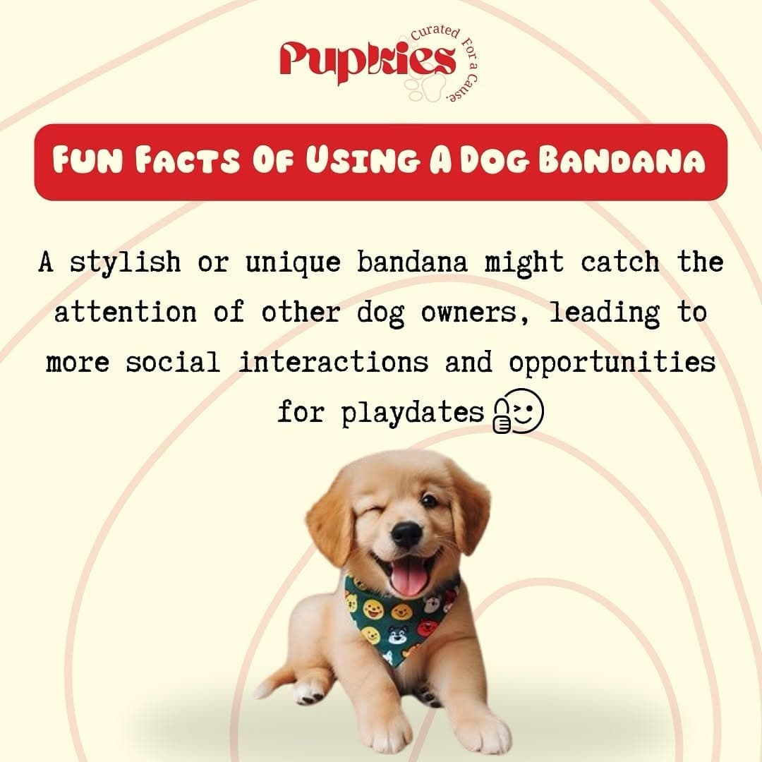 Pupkies on Instagram